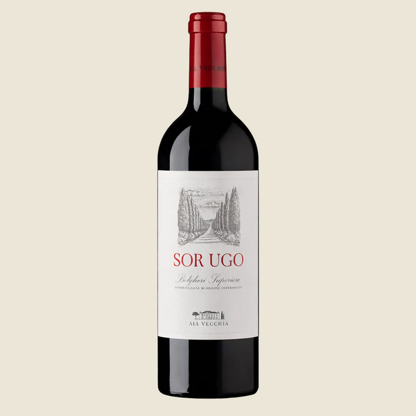 Aia Vecchia Sor Ugo Bolgheri Superiore 2022 DOC