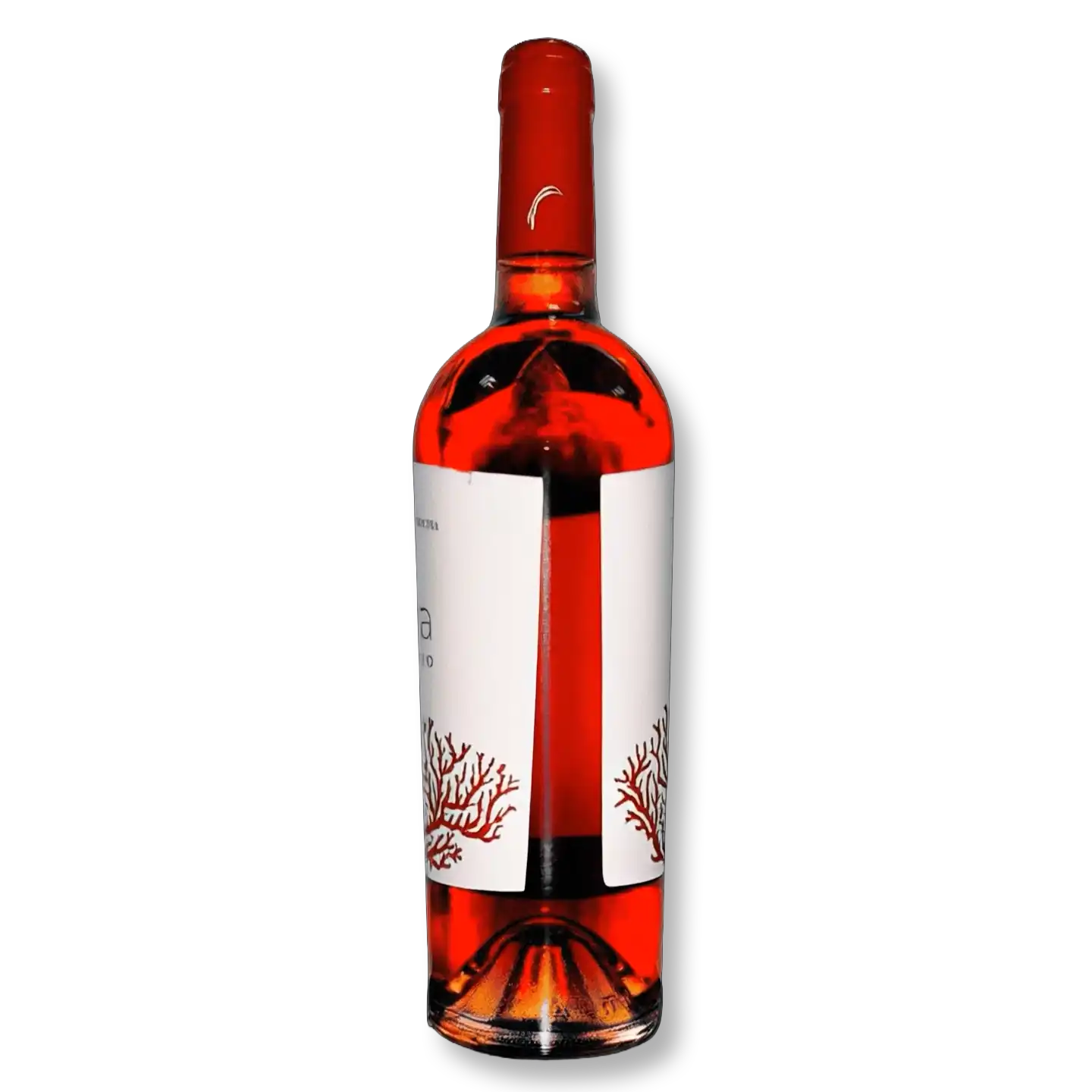 Produktbild – Animation Frame 12