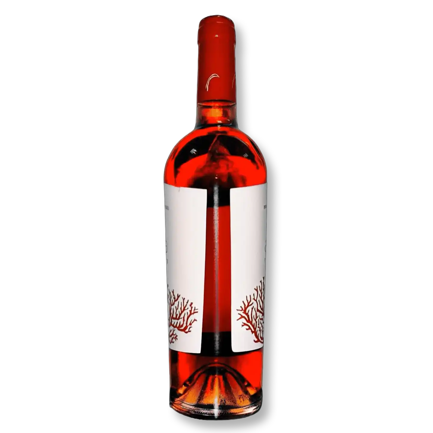 Produktbild – Animation Frame 13