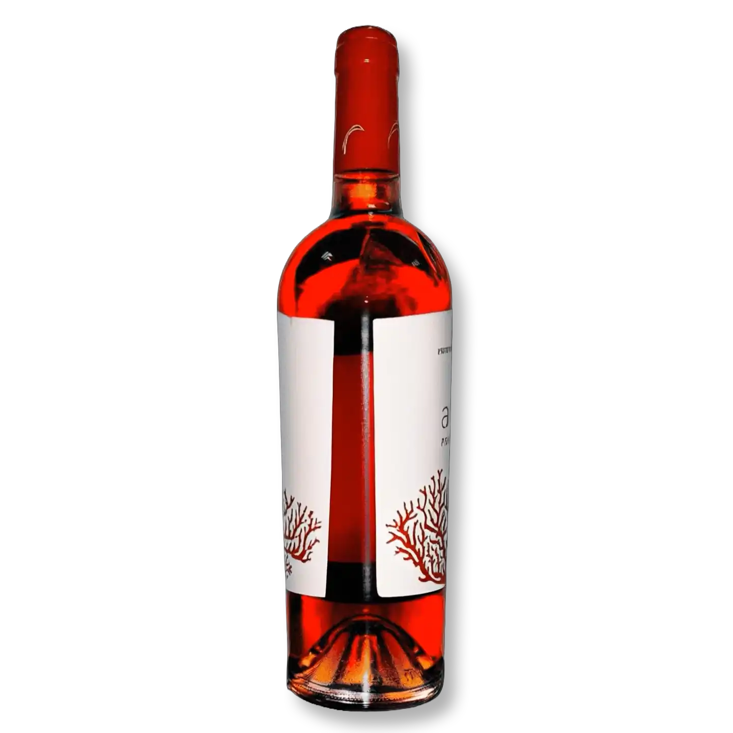 Produktbild – Animation Frame 14