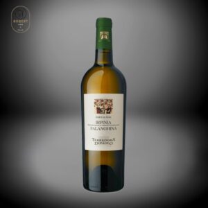 Falanghina 2023 Terredora Corte di Giso Irpinia D.O.C.G.